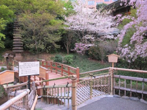 image011