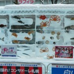 DSCN4359