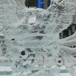 DSCN4388