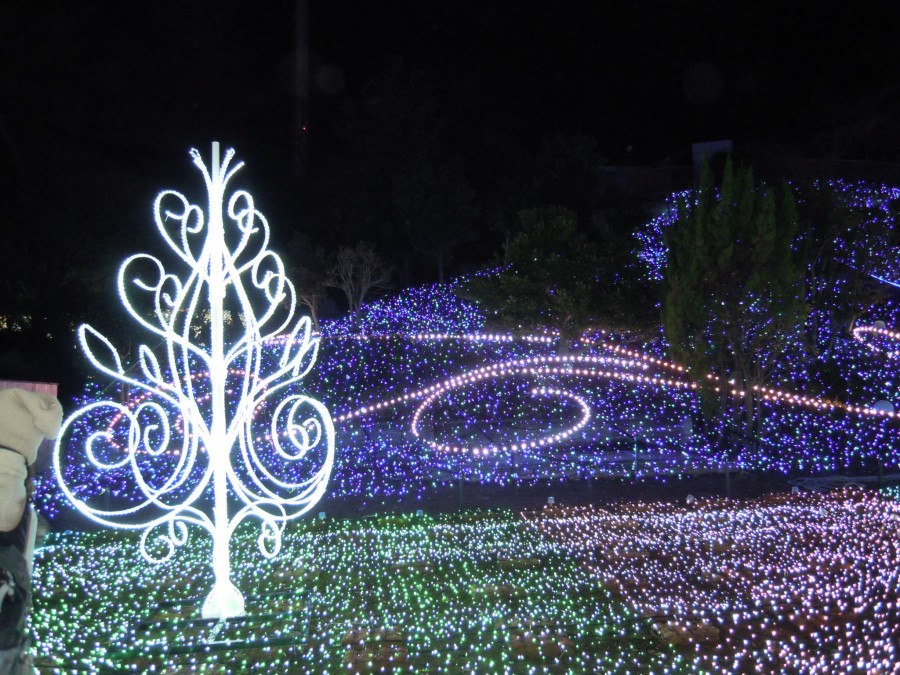 illuminations7
