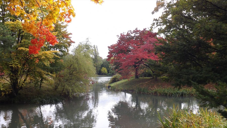 Nakajima park (4)_R